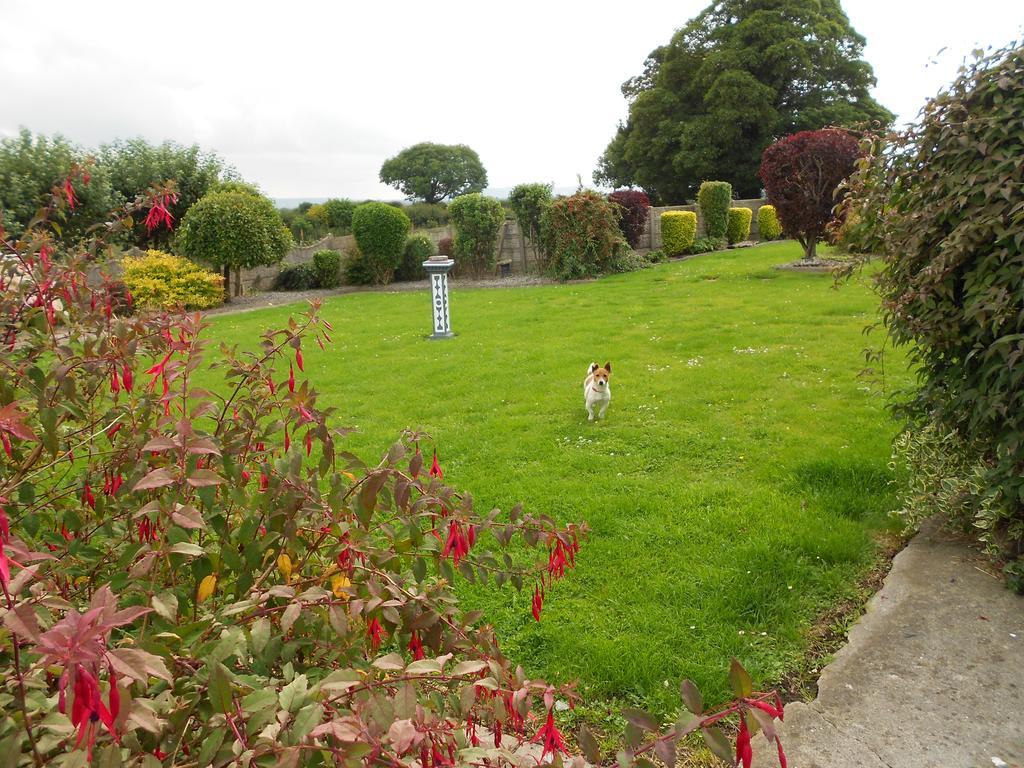 Castlehaven Villa Donaghmore  Eksteriør bilde